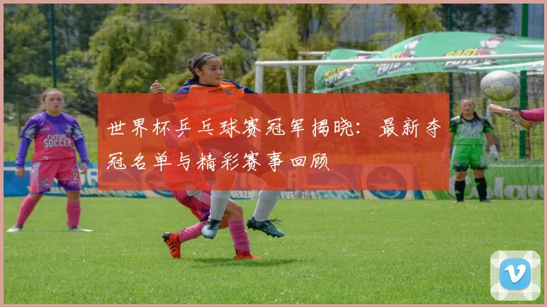 世界杯乒乓球赛冠军揭晓：最新夺冠名单与精彩赛事回顾